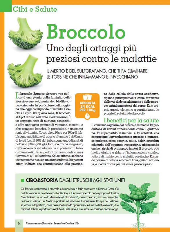 Alim Nat Set-Ott 2024 (3)