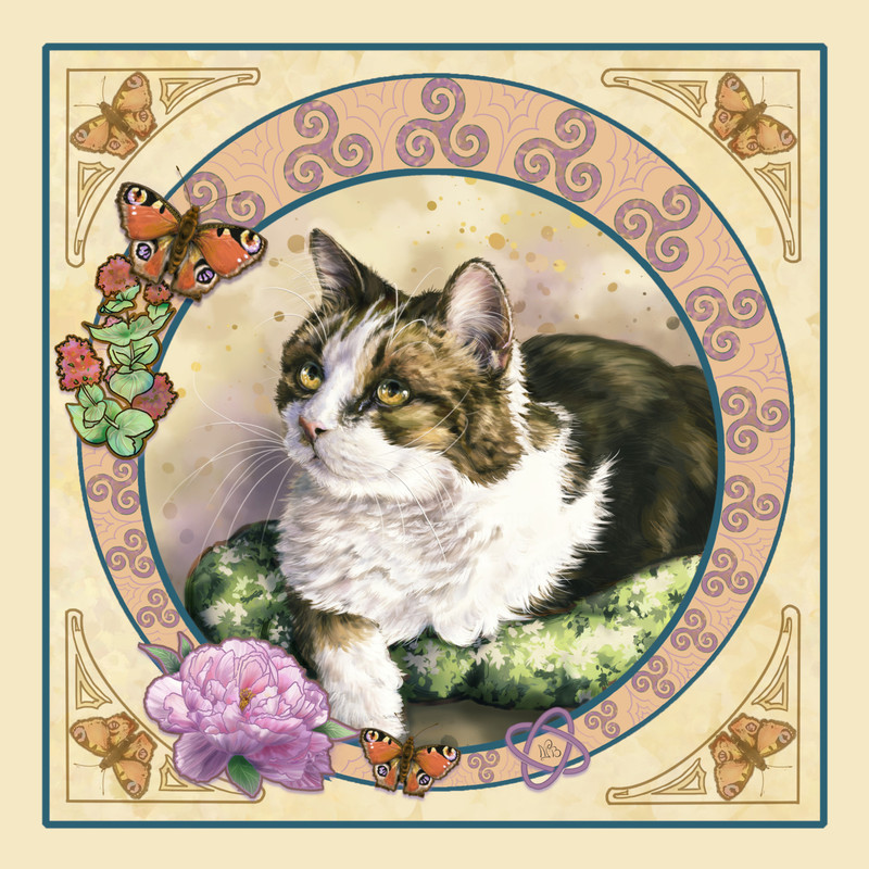 13883762_anakinchaud(2)