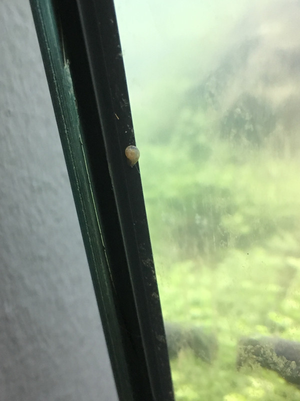 F0C9D0B0-A450-42AC-BAB4-8D22DE6ADF5A