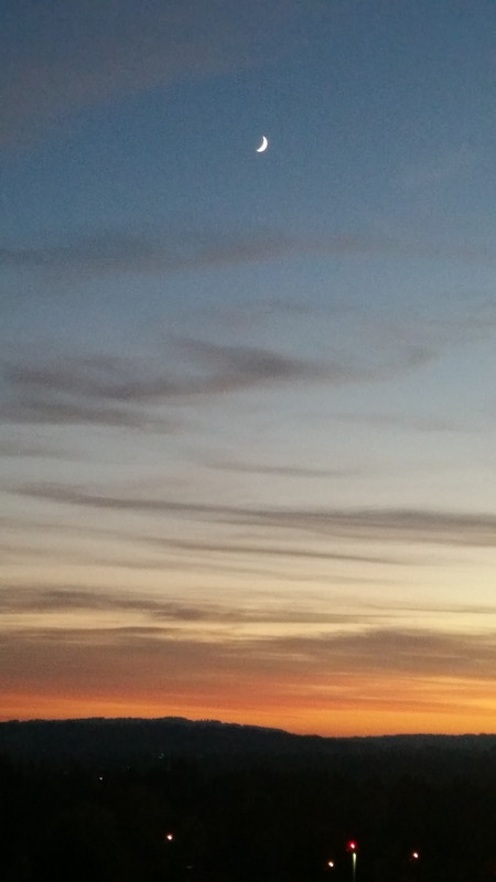 [Image: 20181111-170914.jpg]