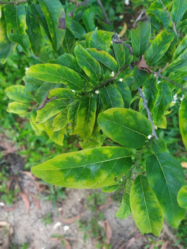 photo_4920703641610988425_y