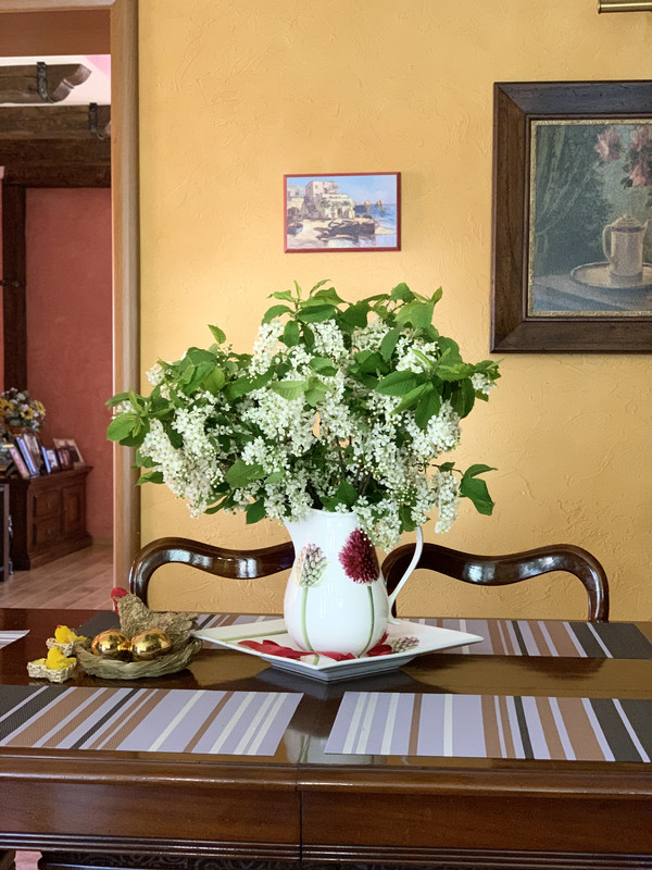 3126A1D2-E26A-408A-8F5E-BA943402ABC4