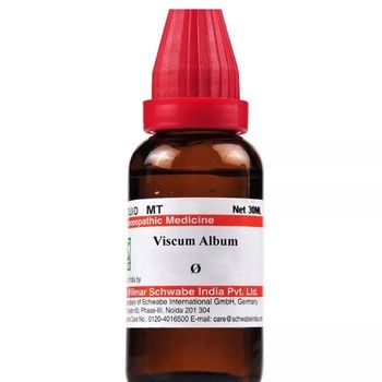 Willmar Schwabe India Viscum album 1X (Q) (30ml)