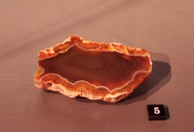 https://i.postimg.cc/3wpYBY1f/202-IMG-20250724-143830.jpg