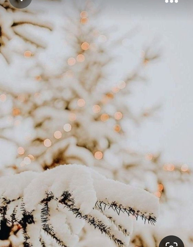 Screenshot_20231107_161543_Pinterest