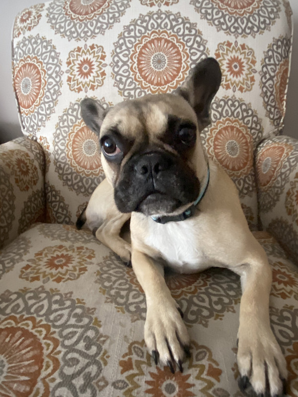 140E94AA-08A5-48DC-944F-AEE0A1EAEFE8