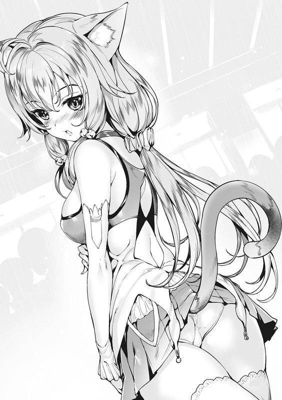embed0019-HD.jpg