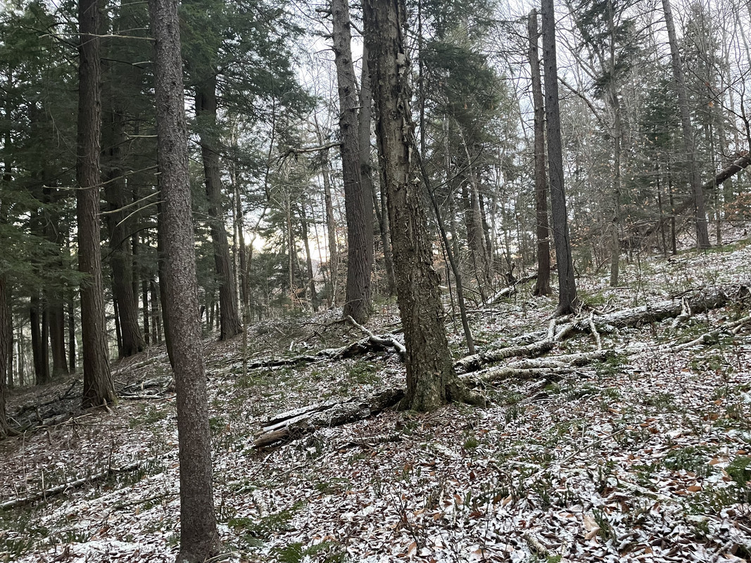 CF57E45C-E553-4802-B837-06EA2B26F892