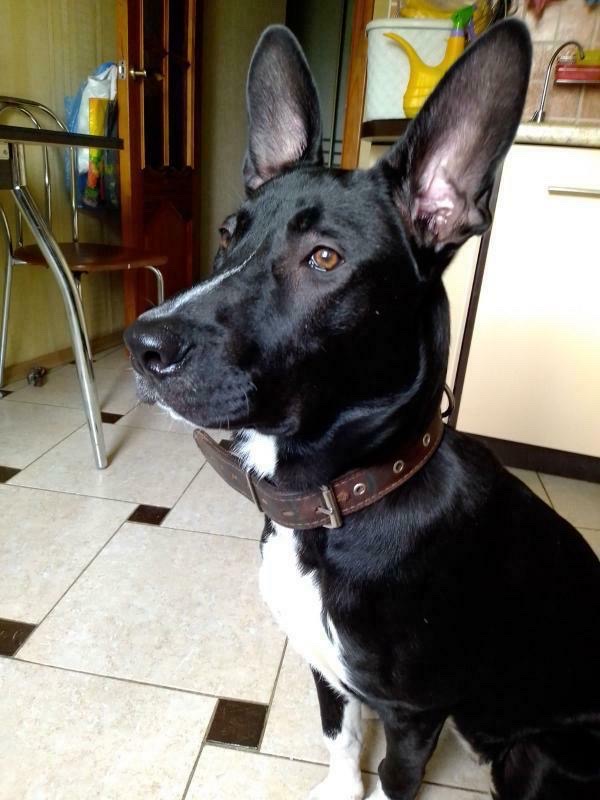 8EACFF82-8F73-4397-99B5-36022B28B8C6