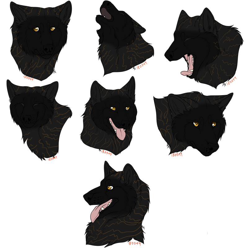 B2E316EE-C126-4B96-ADAB-9CD1207E9120