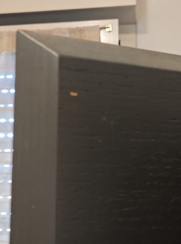 PXL_20230924_121903588