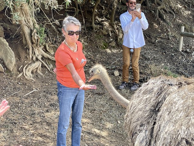 [Linked Image from i.postimg.cc]