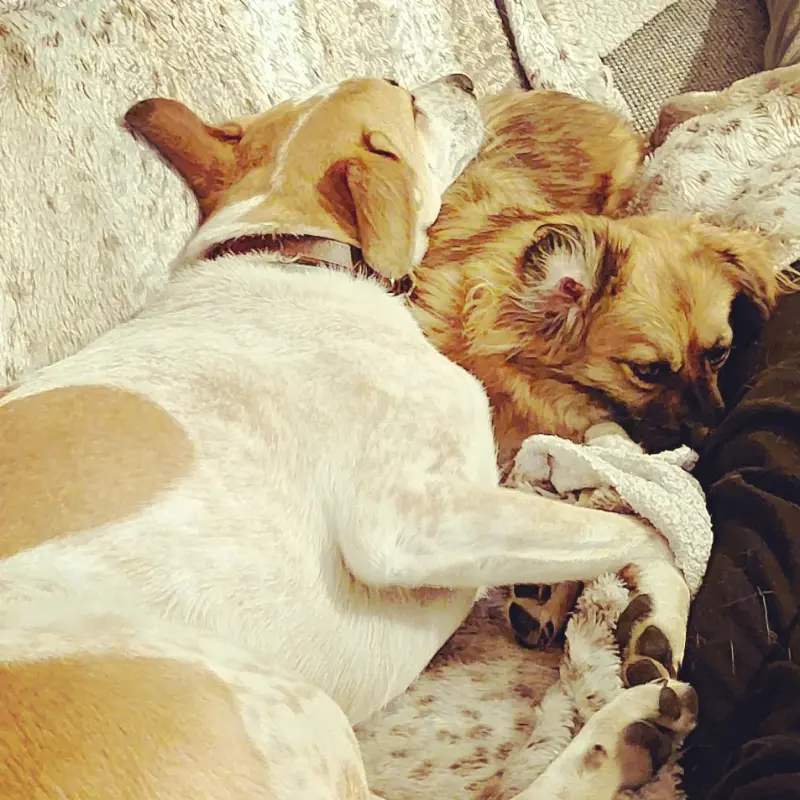 IMG_20220924_152303_614