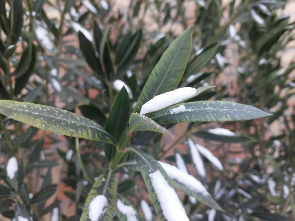 105fcab4 4761 45c8 96f3 a1cb7becd8aa