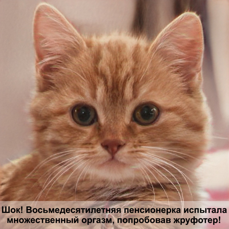 кошкин хвост