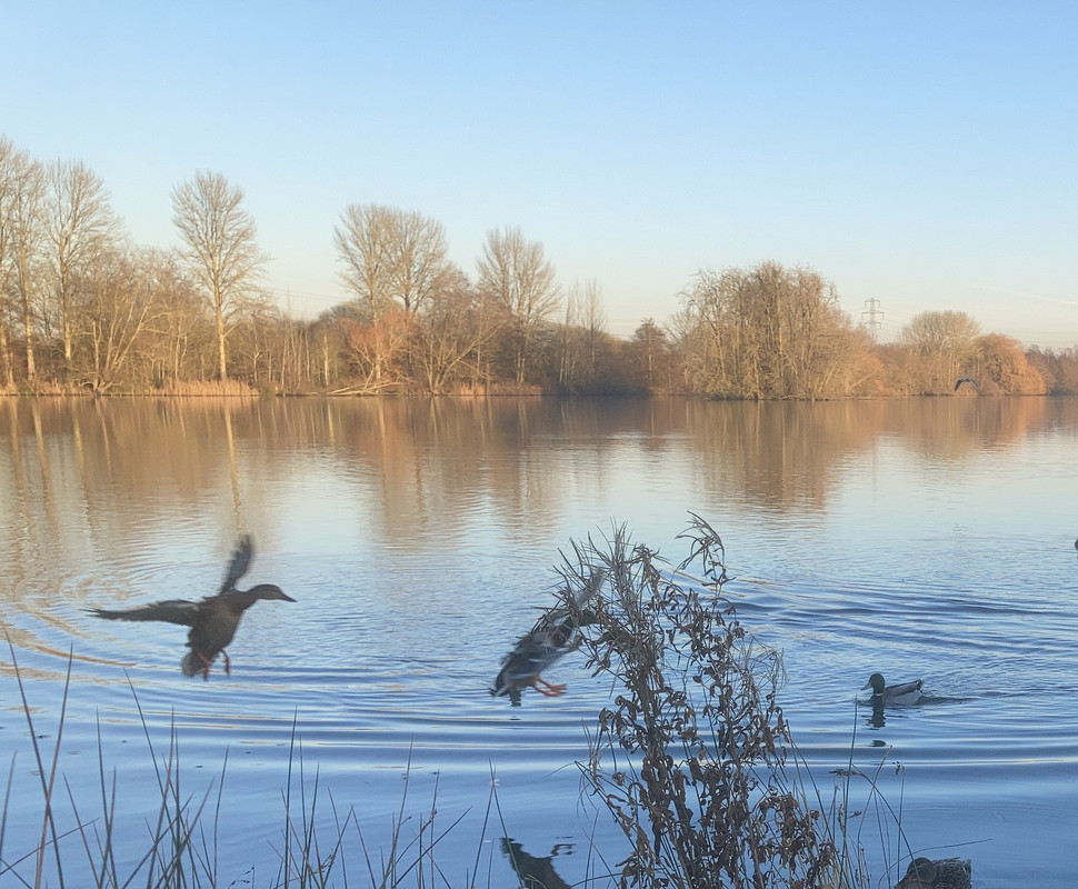 83E4A4A2-1236-4444-9DB7-7DA19BEBDDFA