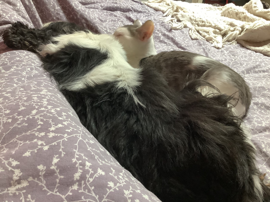 865720C1-0383-4276-8A61-95C471F60873