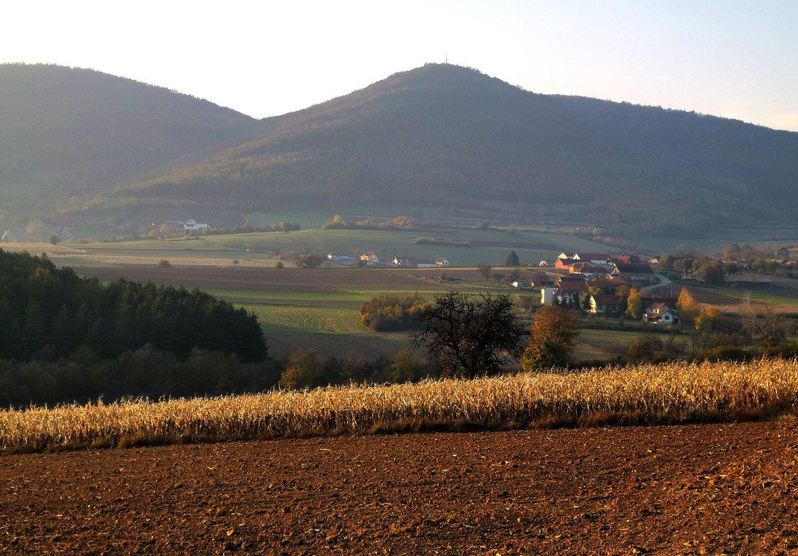 IMG-20201113-001534.jpg