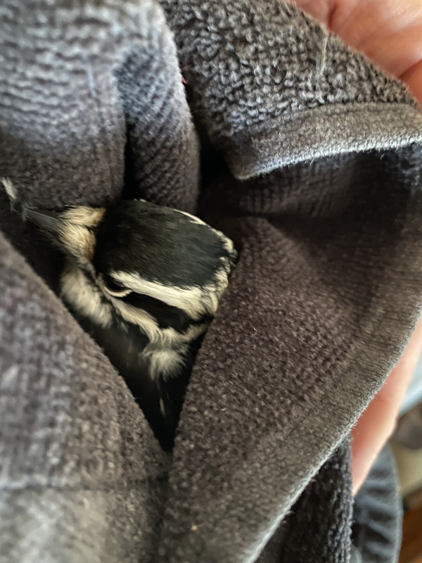 2E0A924E-0205-46AF-AC6B-222F12A293E6