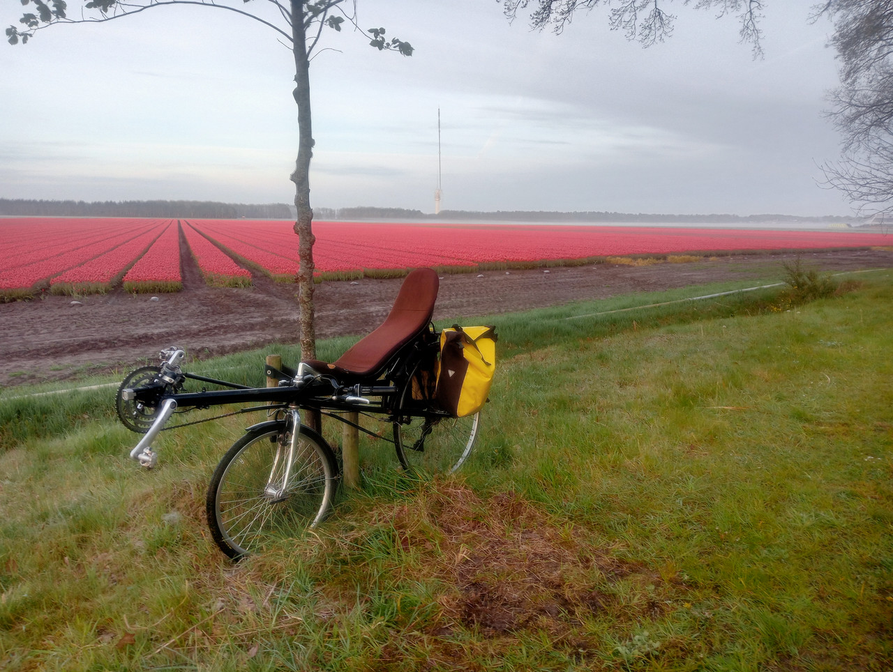 [Afbeelding: IMG20260427063702.jpg]