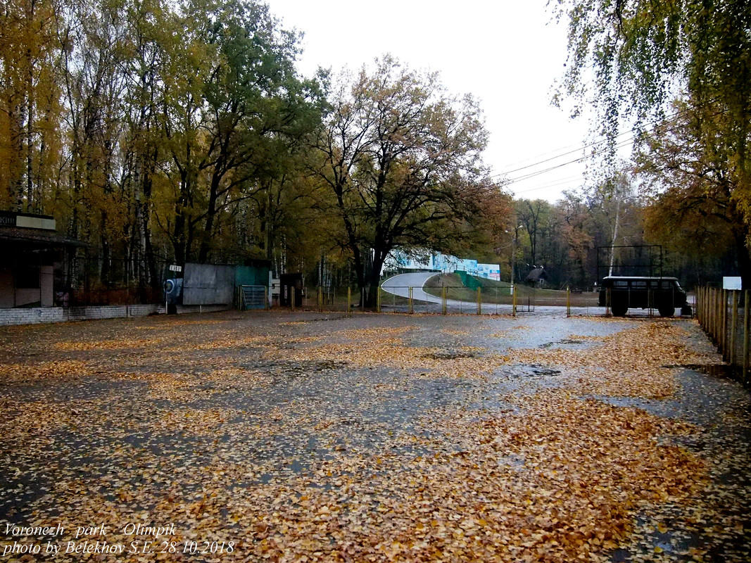 Воронеж, осень, парк