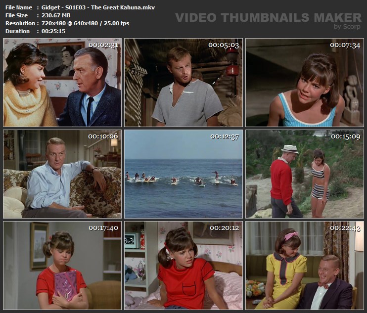 Gidget - S01E03 - The Great Kahuna.mkv