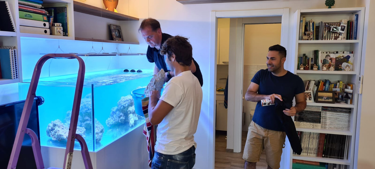 F3D08556-D0CB-4501-8F46-35723D868F56