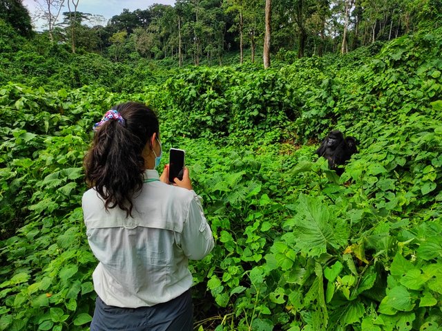 18 días por las tierras más remotas de Uganda y Kenya - Blogs de Africa Este y Centro - Bwindi - Queen Elizabeth National Park (3)