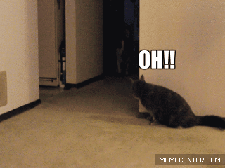f0348520176e8ea61ba53e663f4cec7c.gif