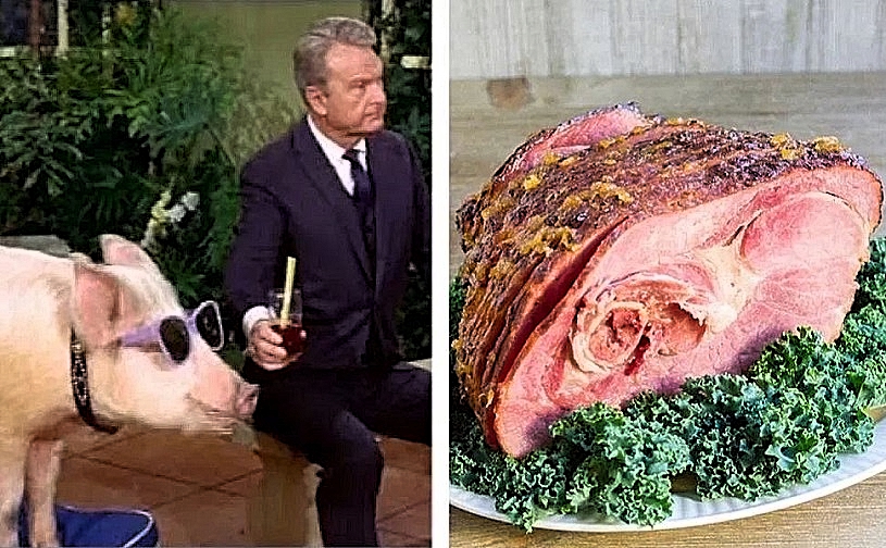 GREEN-ACRES-ARNOLD-ZIFFEL-FOTOR.jpg