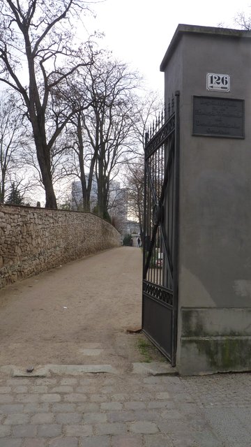 P1140242.jpg