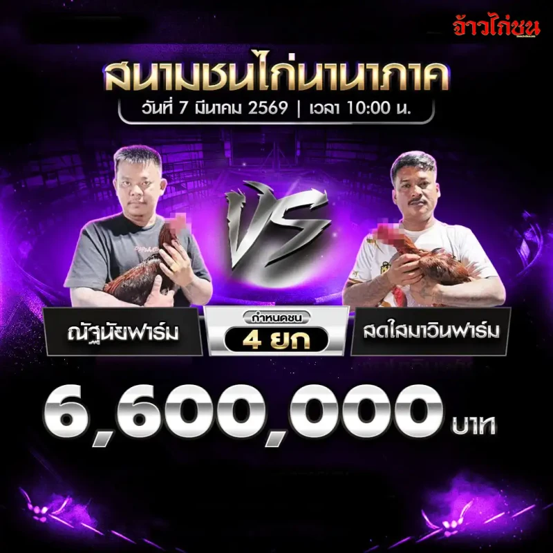 โปรแกรมไก่ชน คู่ ณัฐนัยฟาร์ม พบ สดใสมาวินฟาร์ม สนามชนไก่นานาภาค 7 มีนาคม 2569