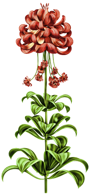 Into The Jungle (101)