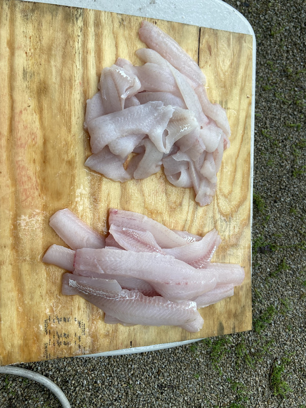 C662374A-73AF-4F87-B02B-2E421B50B8C6