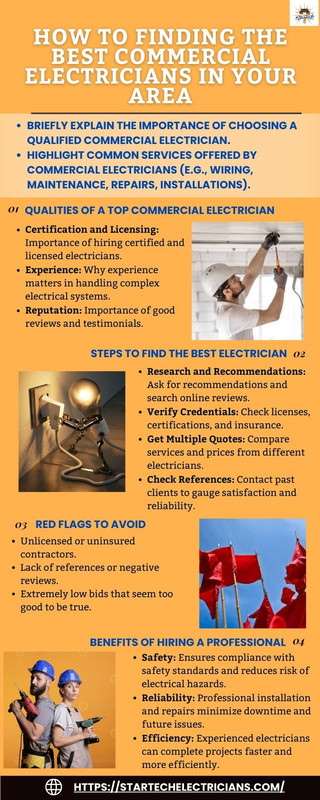 Black and White Business Project Modern Infographic (1)