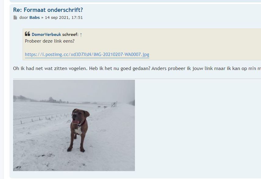 Afbeelding