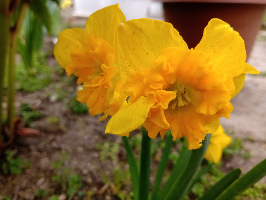 IMG_20230416_114330976