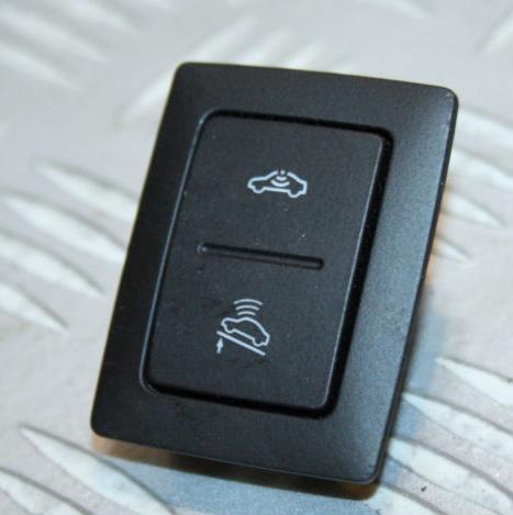 buton alarma