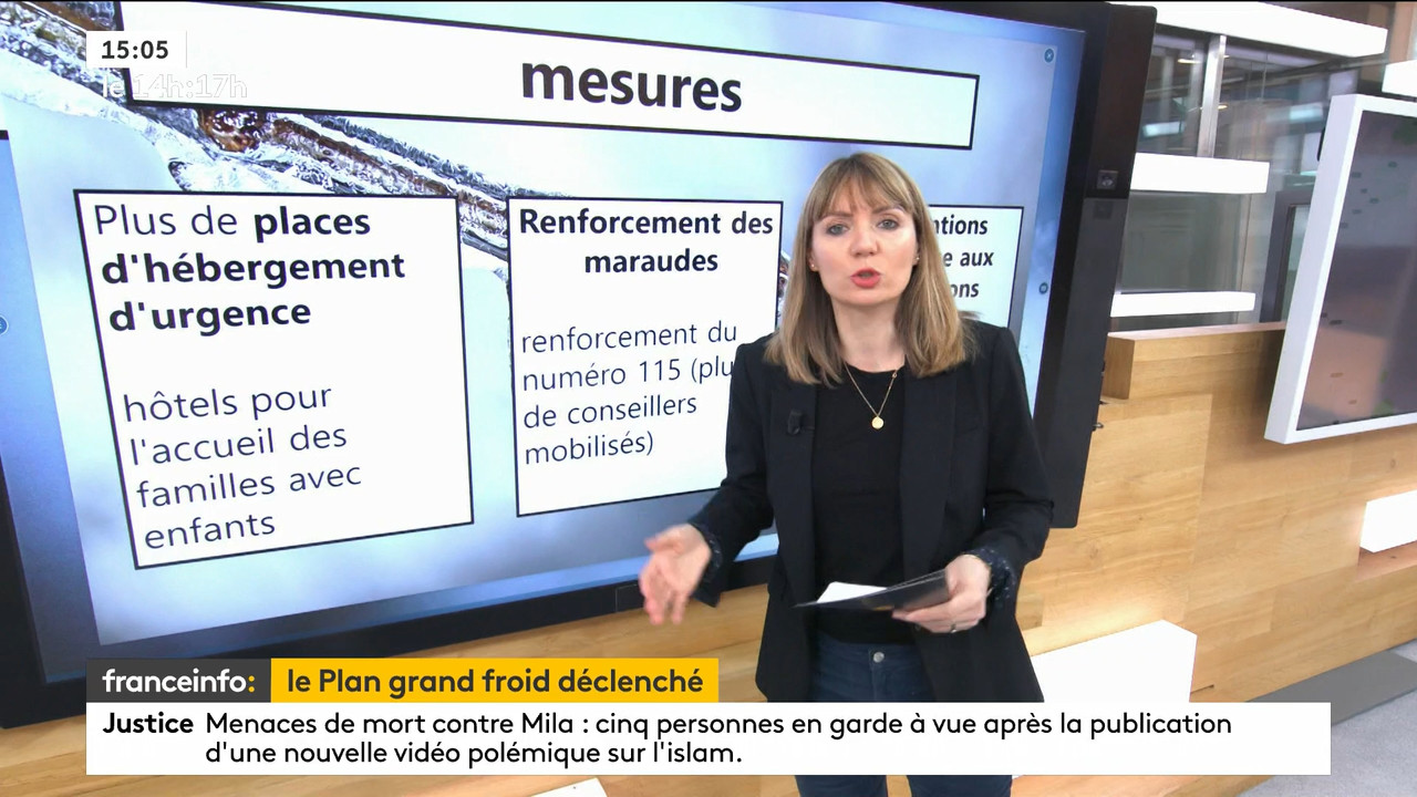 02.09 - 12.59.00 - Le 14h-17h. Au sommaire   Vrai ou fake. - francein..._001.ts_snapshot_00.45.205