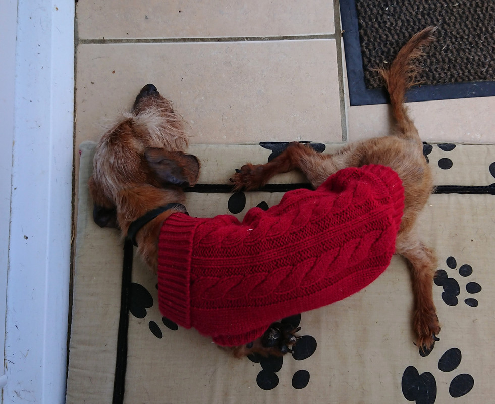 [Image: 20220912-153438.jpg]