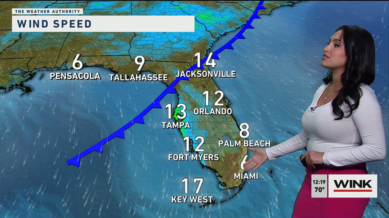 01.26 - 17.00.00 - The WINK Noon News  ᴺᵉʷ. Midday news update..ts_snapshot_25.56.642