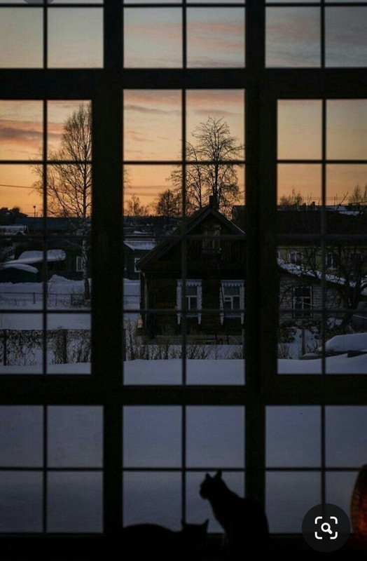 Screenshot_20231023_202156_Pinterest