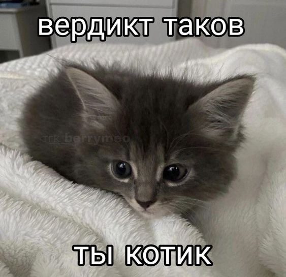 IMG-6188.jpg