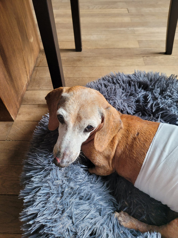 [Image: IMG-20220215-WA0000.jpg]