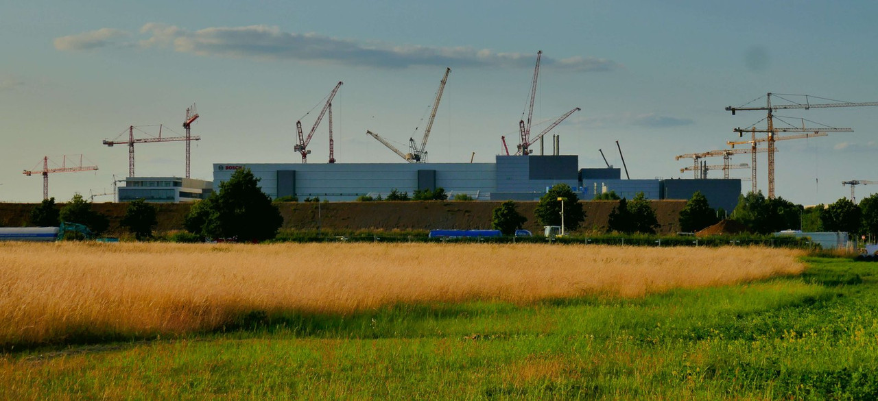 Bild: https://i.postimg.cc/3wtgv4Q6/P1280576.jpg