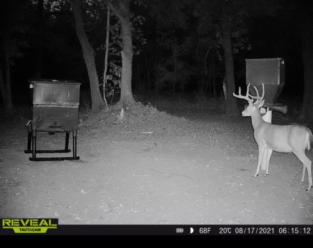 Screenshot_20210828-203223_Tactacam Reveal