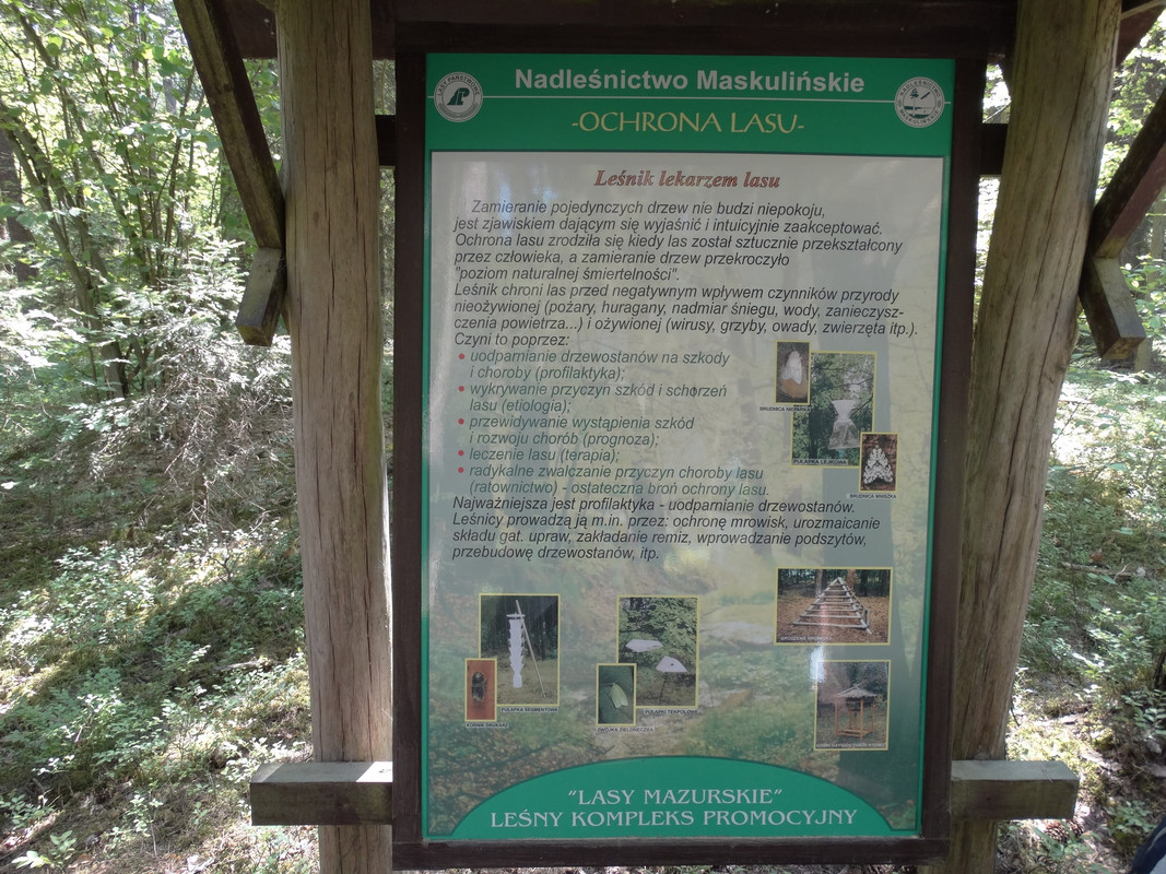 25 - DSC03883 (Czesio1)