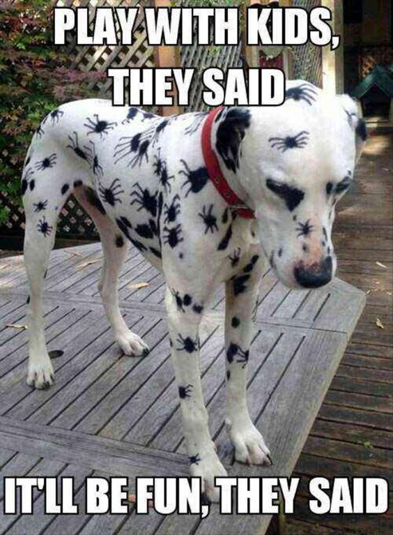 play-with-the-kids-they-said-it-will-be-fun-but-look-what-happen.jpg