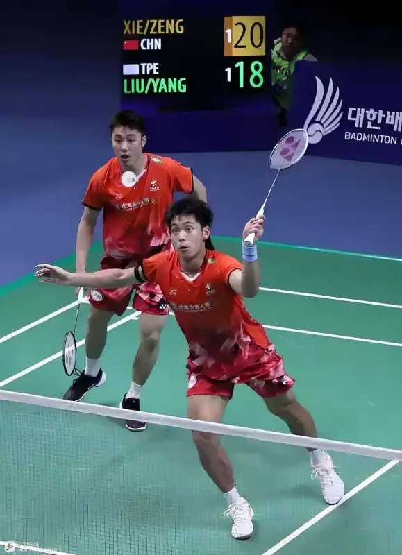 183051npl8z2rr5rpqel37-jpeg-bigimg.webp