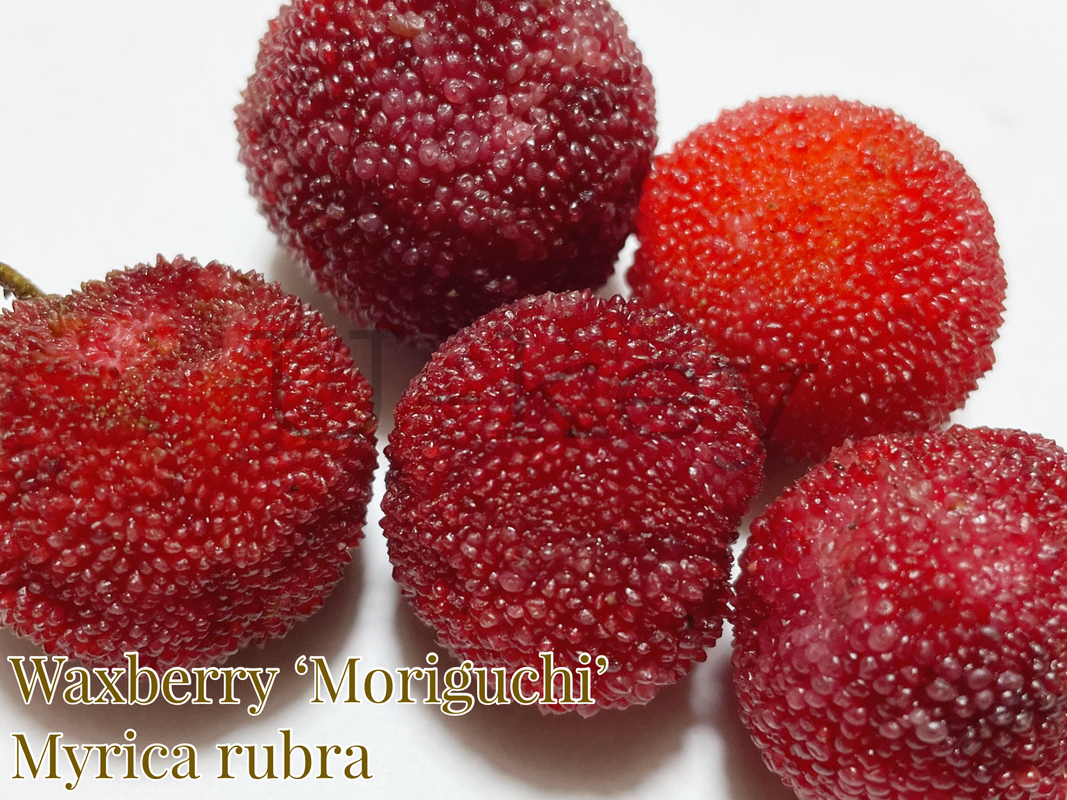 4A4E4B64-C3FB-4688-B84B-71F550A48328